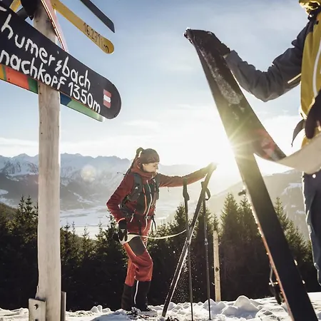 Gletschermoos - Summer Card Included *