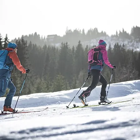 Gletschermoos - Summer Card Included Alpstuga Zell am See