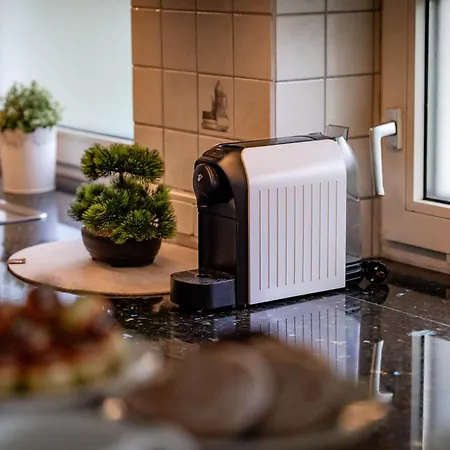 Gletschermoos - Summer Card Included * 滨湖采尔