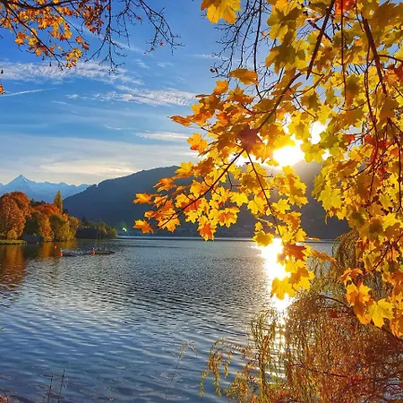 Gletschermoos - Summer Card Included