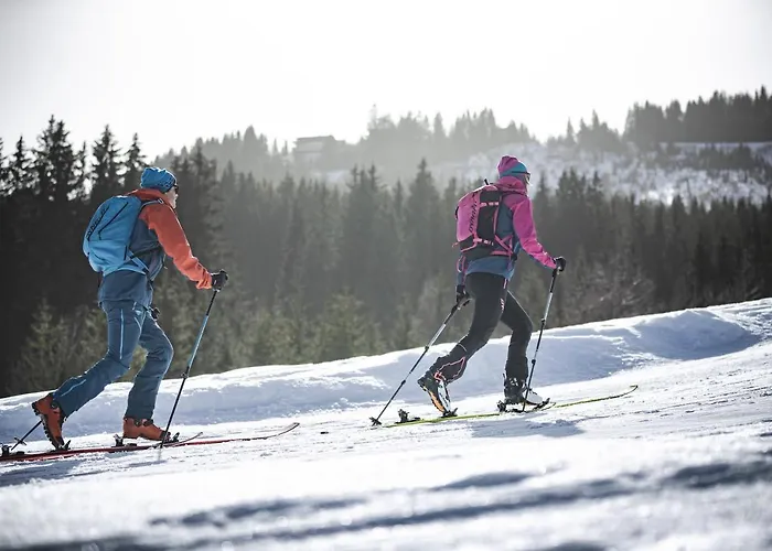 Gletschermoos - Summer Card Included Chalet Zell am See