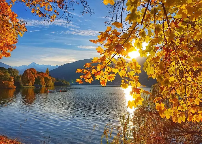 Gletschermoos - Summer Card Included