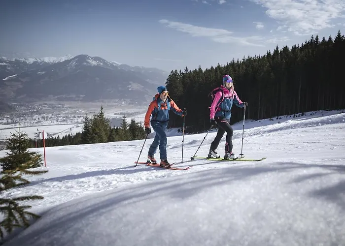 Gletschermoos - Summer Card Included Τσελ αμ Ζέε